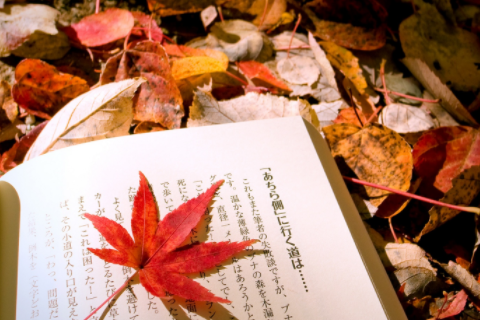 文艺又少见的女孩英文名字 仙气简短的女孩英文名大全
