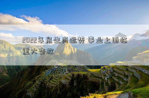 2022年鼠生肖运势 事业上面临重大变故