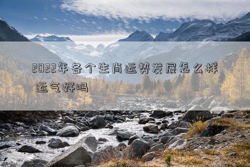 2022年各个生肖运势发展怎么样 运气好吗