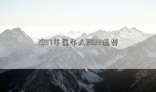 1997年属牛人2022运势