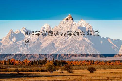 1984年老鼠2022年的全年运势