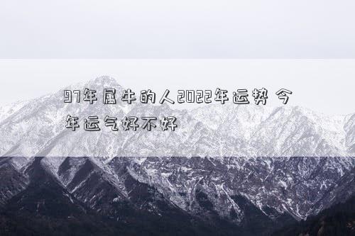 97年属牛的人2022年运势 今年运气好不好