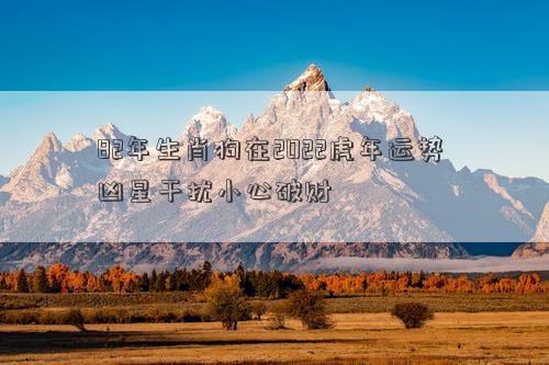 82年生肖狗在2022虎年运势 凶星干扰小心破财