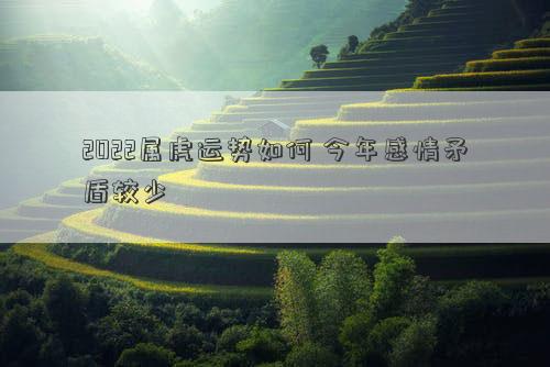 2022属虎运势如何 今年感情矛盾较少