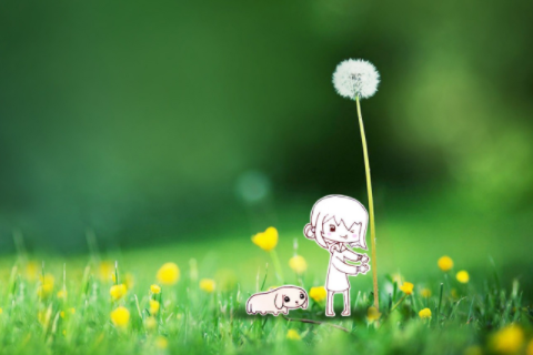 稀少好听的日文女名 有寓意的日文名字女生