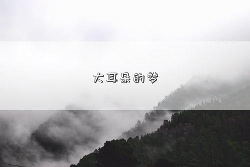 大耳朵的梦