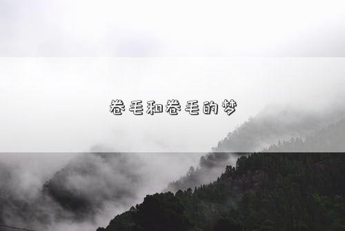 卷毛和卷毛的梦