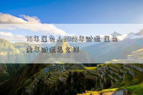 75年属兔人2022年财运 属兔虎年财运怎么样