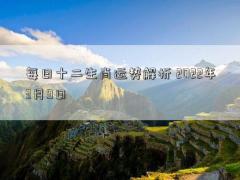 每日十二生肖运势解析 2022年3月9日