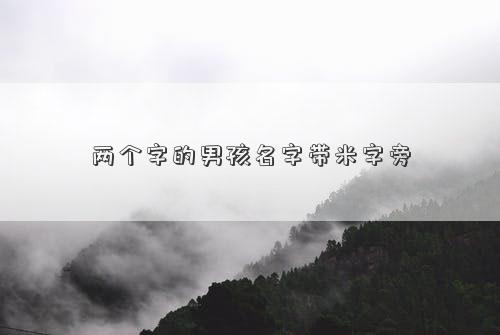 两个字的男孩名字带米字旁