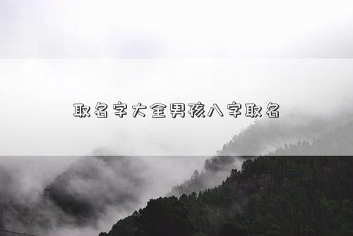 取名字大全男孩八字取名