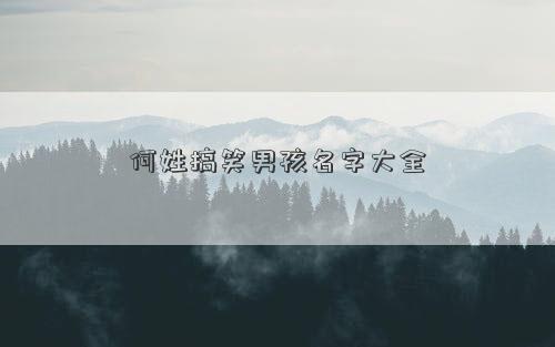 何姓搞笑男孩名字大全