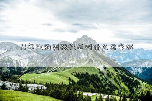 鼠年生的男孩姓毛叫什么名字好