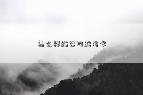 怎么样给公司起名字