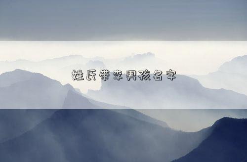 姓氏带李男孩名字
