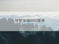癸卯日柱2022运势