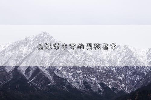 吴姓带木字的男孩名字