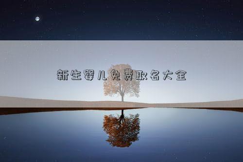新生婴儿免费取名大全