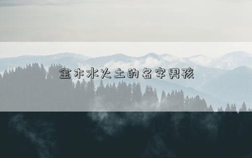 金木水火土的名字男孩