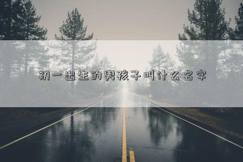 初一出生的男孩子叫什么名字
