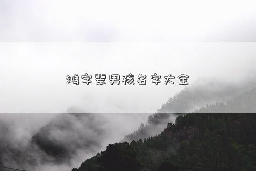 鸿字辈男孩名字大全