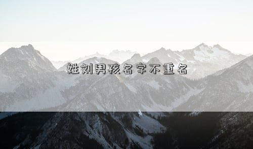姓刘男孩名字不重名
