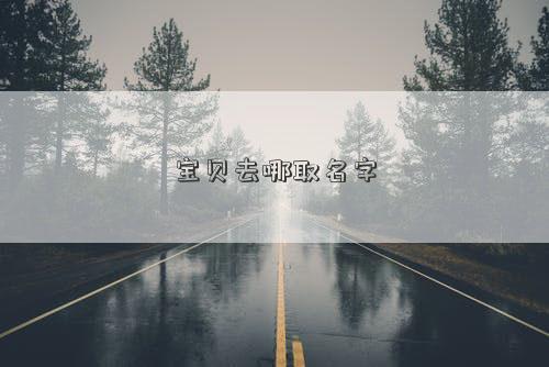 宝贝去哪取名字