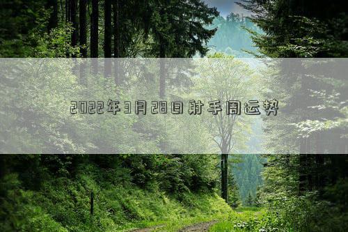 2022年3月28日射手周运势