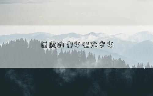 属虎的哪年犯太岁年