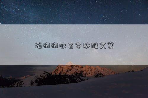给狗狗取名字沙雕文案