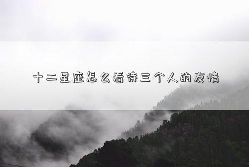 十二星座怎么看待三个人的友情