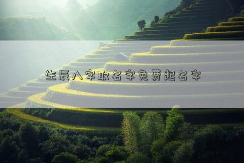 生辰八字取名字免费起名字