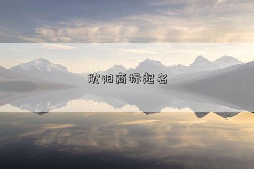 沈阳商标起名