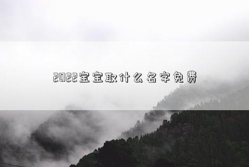 2022宝宝取什么名字免费