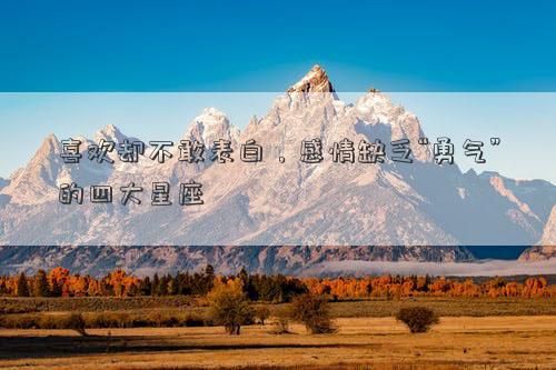 喜欢却不敢表白，感情缺乏“勇气”的四大星座