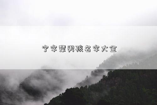 宁字辈男孩名字大全