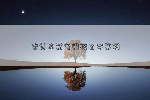 带锦的霸气男孩名字案例