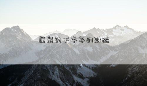属鼠的下半年的财运