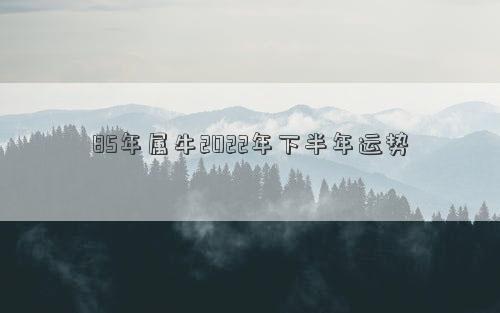 85年属牛2022年下半年运势