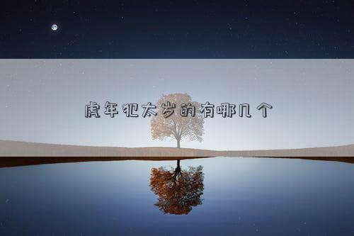 虎年犯太岁的有哪几个