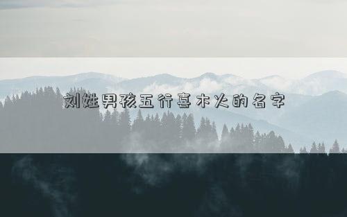 刘姓男孩五行喜木火的名字
