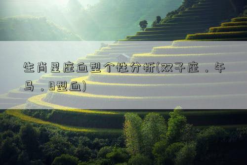 生肖星座血型个性分析(双子座，午马，B型血)