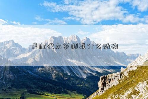 属虎犯太岁佩戴什么动物