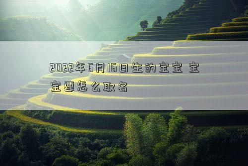 2022年6月16日生的宝宝 宝宝要怎么取名