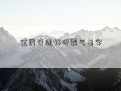 全民奇迹好听霸气名字