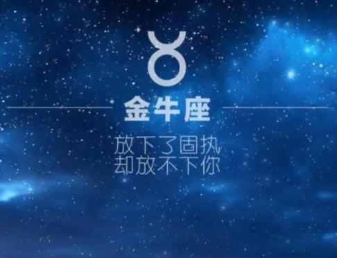 12星座推荐指数