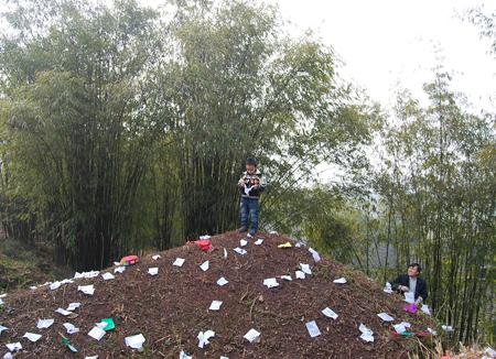 梦见家里的树被砍了是什么意思