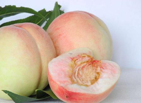 梦见大米出虫 米虫