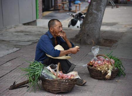 属鼠运势及运程每月运程