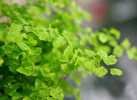 qq情侣网名英文带翻译